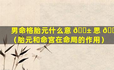 男命格胎元什么意 🐱 思 🌿 （胎元和命宫在命局的作用）
